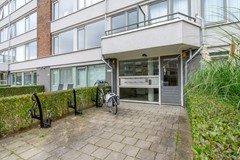 F04 1110STM Auriollaan104.jpg